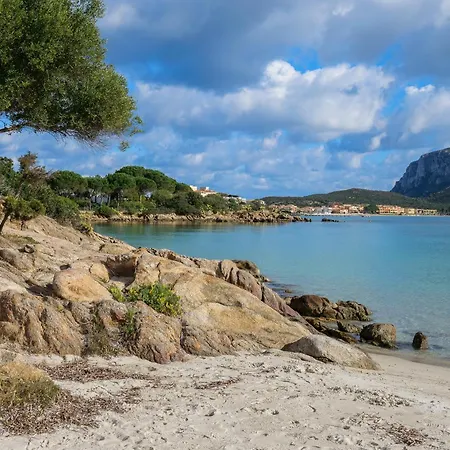 Orizzonti App N 21 Holiday home Golfo Aranci
